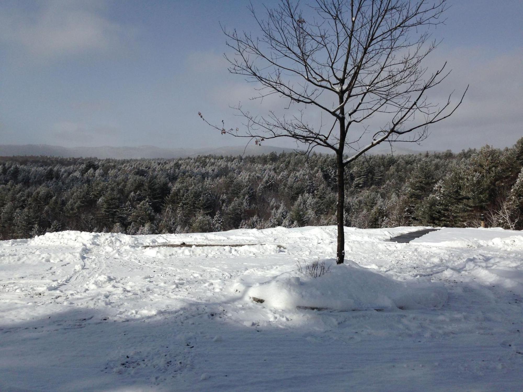 Adams Hill House Retreat - Artist-Architect'S Estate, Newfane Vermont Buitenkant foto